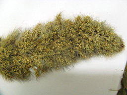 usaxelowiteli (2)